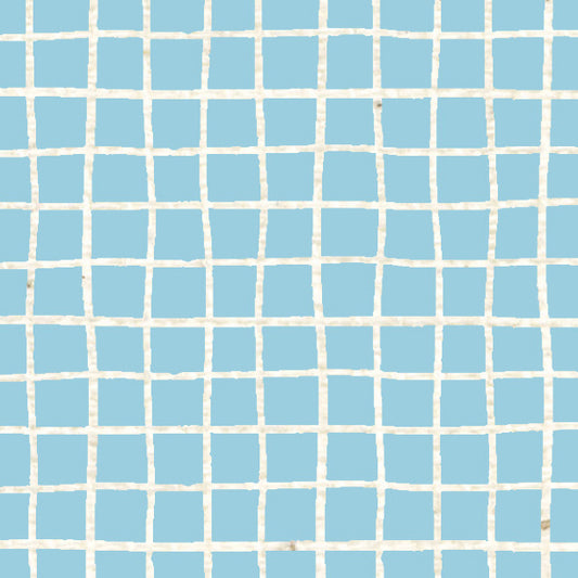 Blue Sky Cardstock Doodle Graph 37-103