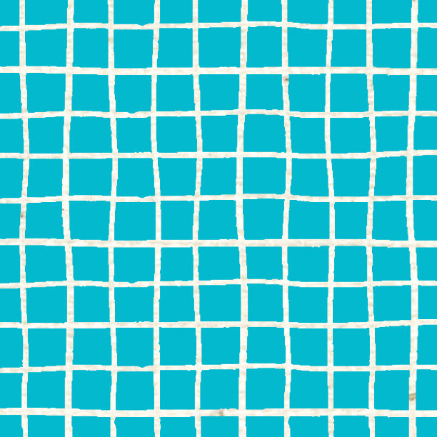 Bluebird Doodle Graph Cardstock 37-103