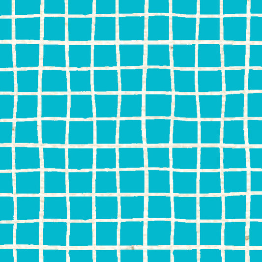 Bluebird Doodle Graph Cardstock 37-103
