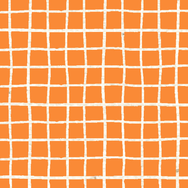 Orange Poppy Doodle Graph Cardstock 37-103