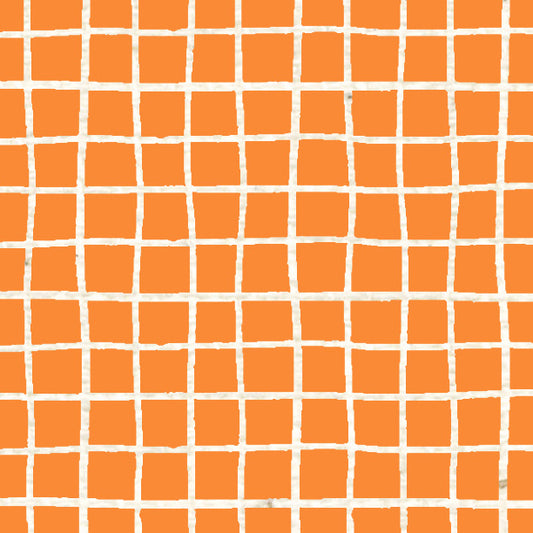 Orange Poppy Doodle Graph Cardstock 37-103