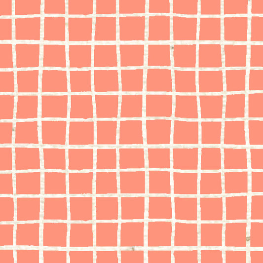 Peaches 'n Cream Doodle Graph Cardstock 37-103