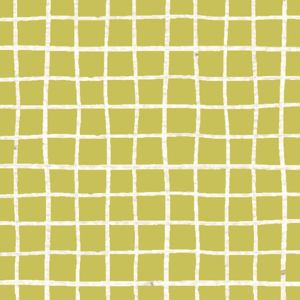 Pistachio Green Doodle Graph Cardstock 37-103