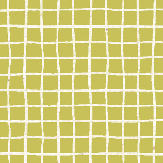 Pistachio Green Doodle Graph Cardstock 37-103