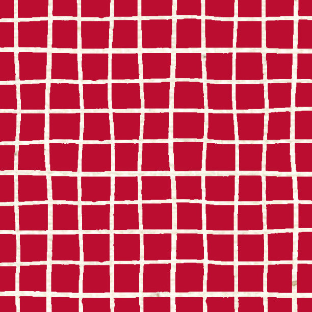 Red Wagon Doodle Graph Cardstock 37-103