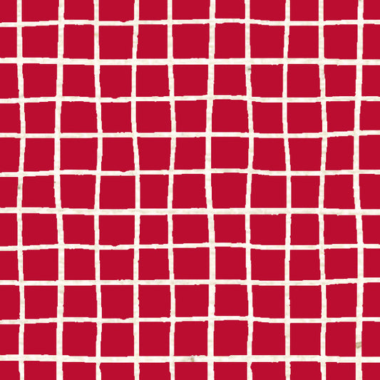 Red Wagon Doodle Graph Cardstock 37-103