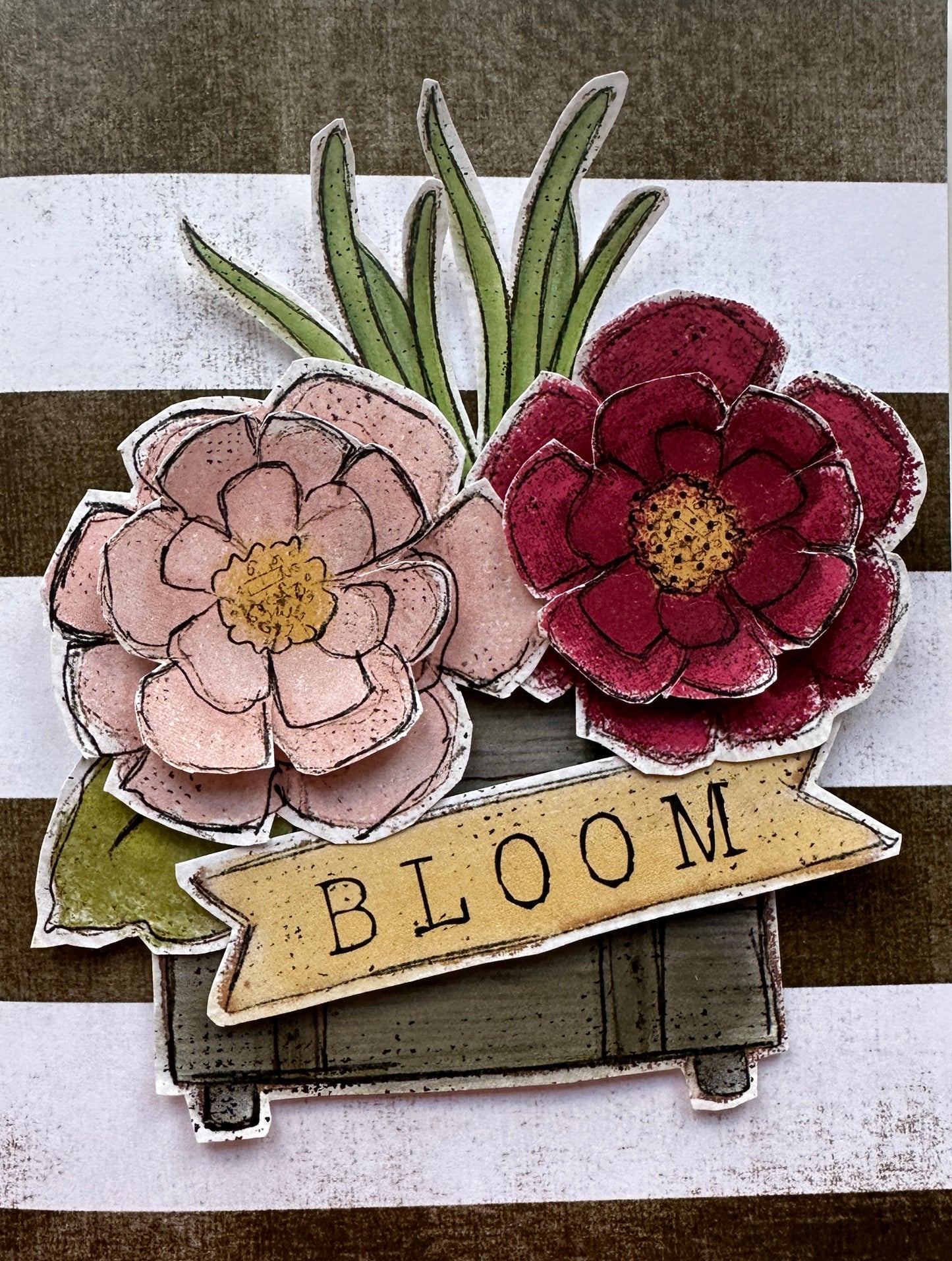 Bloom