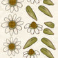 CCO 503 Card Cut Out #503 Daisies