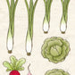 CCO 643 Card Cut Out #643 Garden Veggies