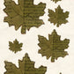 CCO 708 Card Cut Out #708 Maple Leaf Inch Worm Green