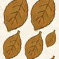 CCO 712 Card Cut Out #712 Autum Leaf Garden Tool Tan