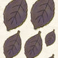 CCO 713 Card Cut Out #713 Autum Leaf Sugar Plum