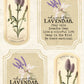 CCO 816 Card Cut Out # 816 Lavendar Labels
