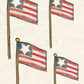 CCO 928 Flag
