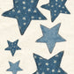 CCO 929 Blueberry Pie Stars