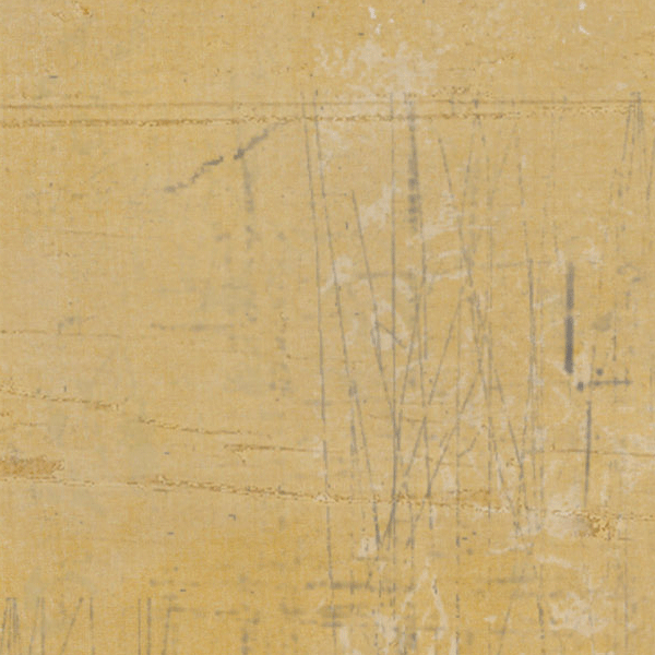 Daylily Grungy Chalky Solid Cardstock