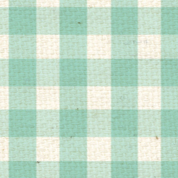 SFG8  Sea Foam Gingham Paper  8 1/2 x 11