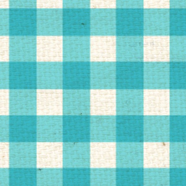 BLBG8 Bluebird Gingham 8 1/2 x 11