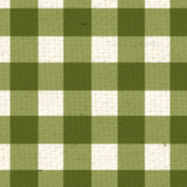 IWGG8  Inch Worm Green Gingham 8 1/2 x 11