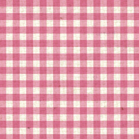 PCMG8  Pink Cosmos Mini Gingham 8 1/2 x 11