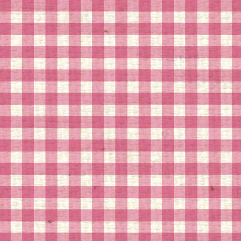 *PCMG8  Pink Cosmos Mini Gingham 8 1/2 x 11