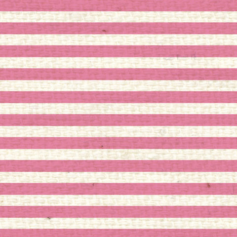 *PCMS8  Pink Cosmos Mini Stripes 8 1/2 x 11