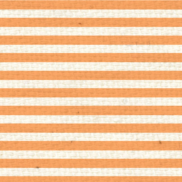 OPMS8  Orange Poppy Mini Stripes 8 1/2 x 11