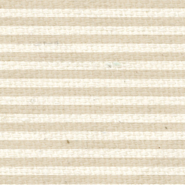 BABMS8  Baby's Breath Mini Stripes  8 1/2 x 11