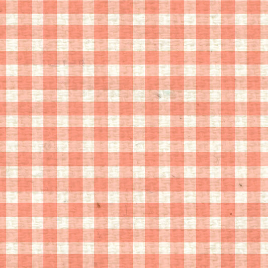 PNCMG8  Peaches 'n Cream Mini Gingham Paper  8 1/2 x 11