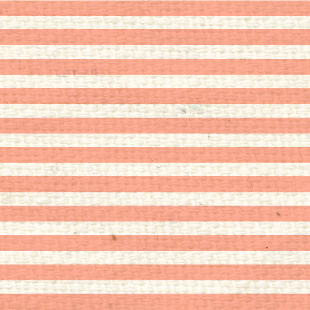 PNCMS8  Peaches 'n Cream Mini Stripes  8 1/2 x 11