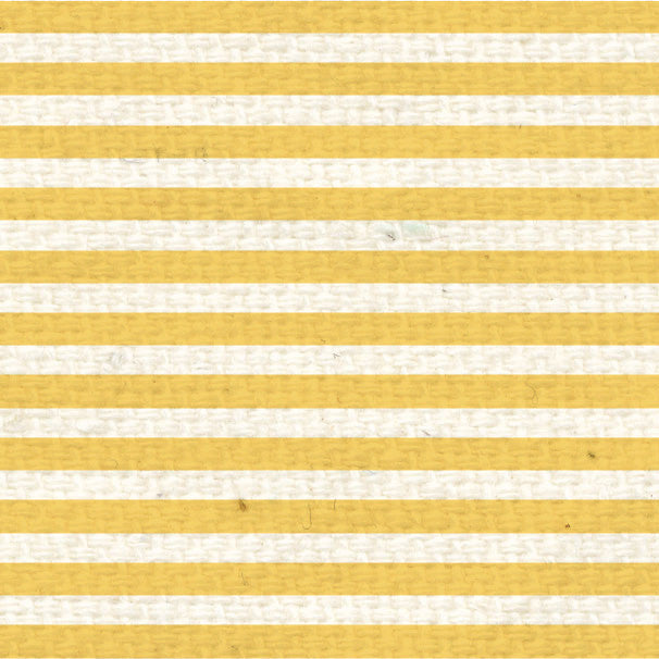 DLMS8  Daylily Mini Stripes Paper  8 1/2 x 11