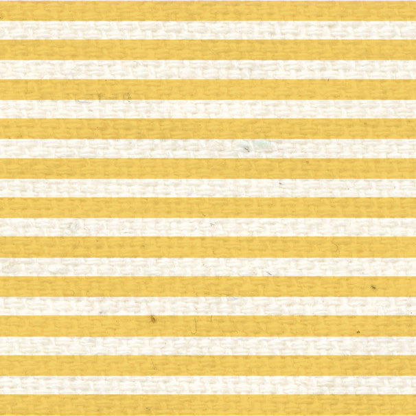 *DLMS8  Daylily Mini Stripes Paper  8 1/2 x 11