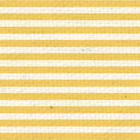 *DLMS8  Daylily Mini Stripes Paper  8 1/2 x 11
