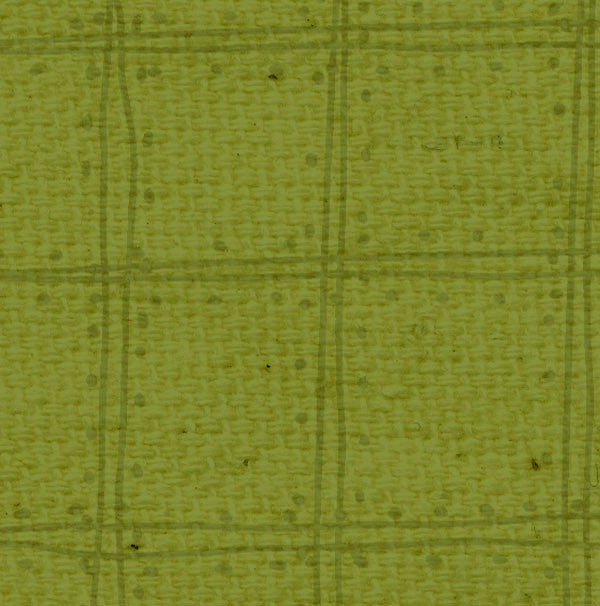 IWGDP8  Inch Worm Green Doodle Plaid Paper  8 1/2 x 11