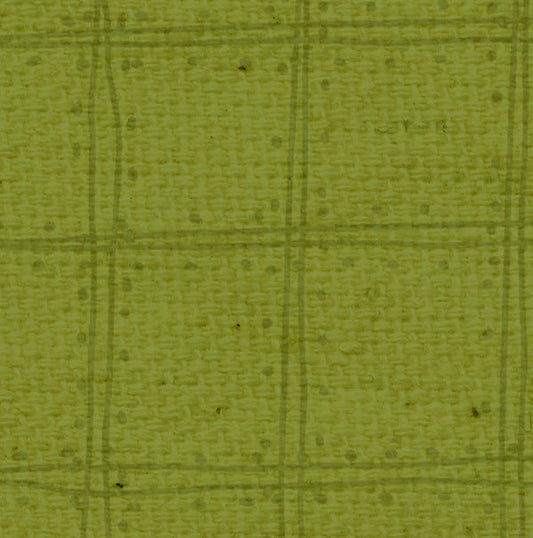 IWGDP8  Inch Worm Green Doodle Plaid Paper  8 1/2 x 11