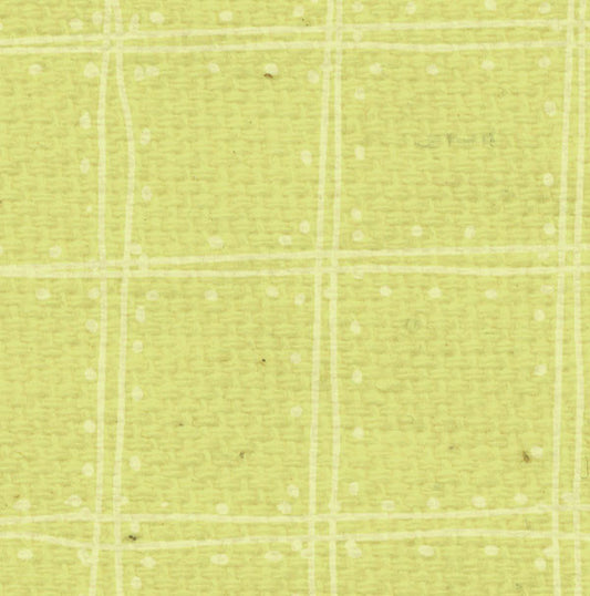 SPDP8  Sweet Pea Doodle Plaid Paper  8 1/2
