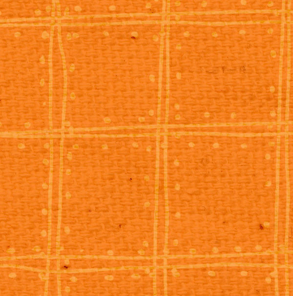 OPDP8  Orange Poppy Doodle Plaid Paper  8 1/2