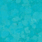 SCSBLB - Bluebird Splash