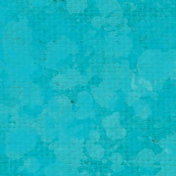 SCSBLB - Bluebird Splash