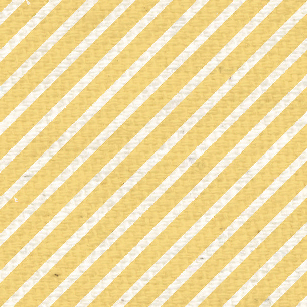 Daylily Yellow Diagonal Stripes
