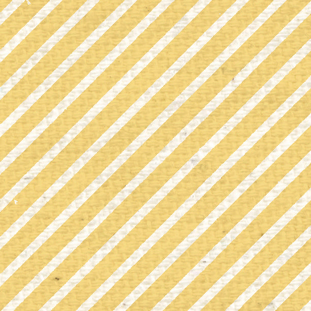 ********** Daylily Yellow Diagonal Stripes