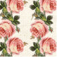 ARST - Antique Rose Stripes