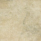 AGE - Aged Canvas