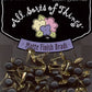 Brads - Black Licorice
