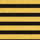 SCBBBS - Bumble Bee Stripes
