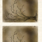 CCO 228 - Card Cut Out #228 - Haunted Tree