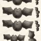 CCO 229 - Card Cut Out #229 - Flurry of Bats
