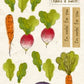 CCO84 - Card Cut Out #84 - Farm Fresh Veggies