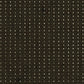Dotted Stripes Blackbird
