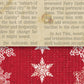 Ladybug Blizzard and Newsprint